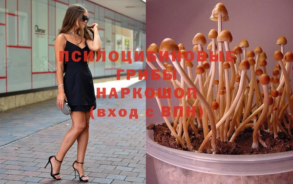 jwh Ладушкин